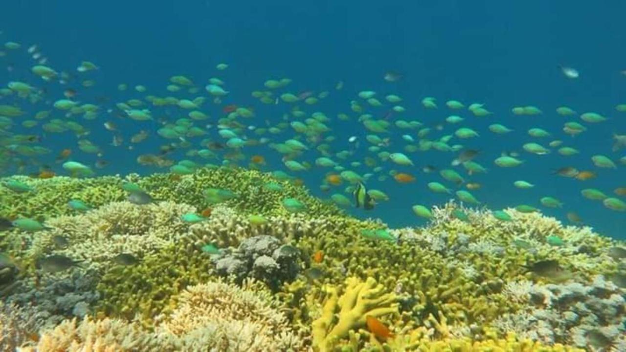 Maha Nusa Menjangan Banyuwedang Exterior foto